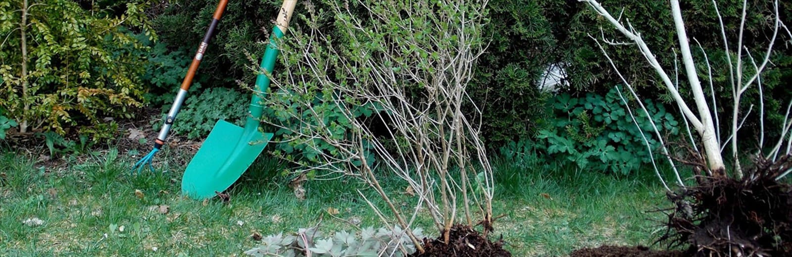 gartenarbeiten